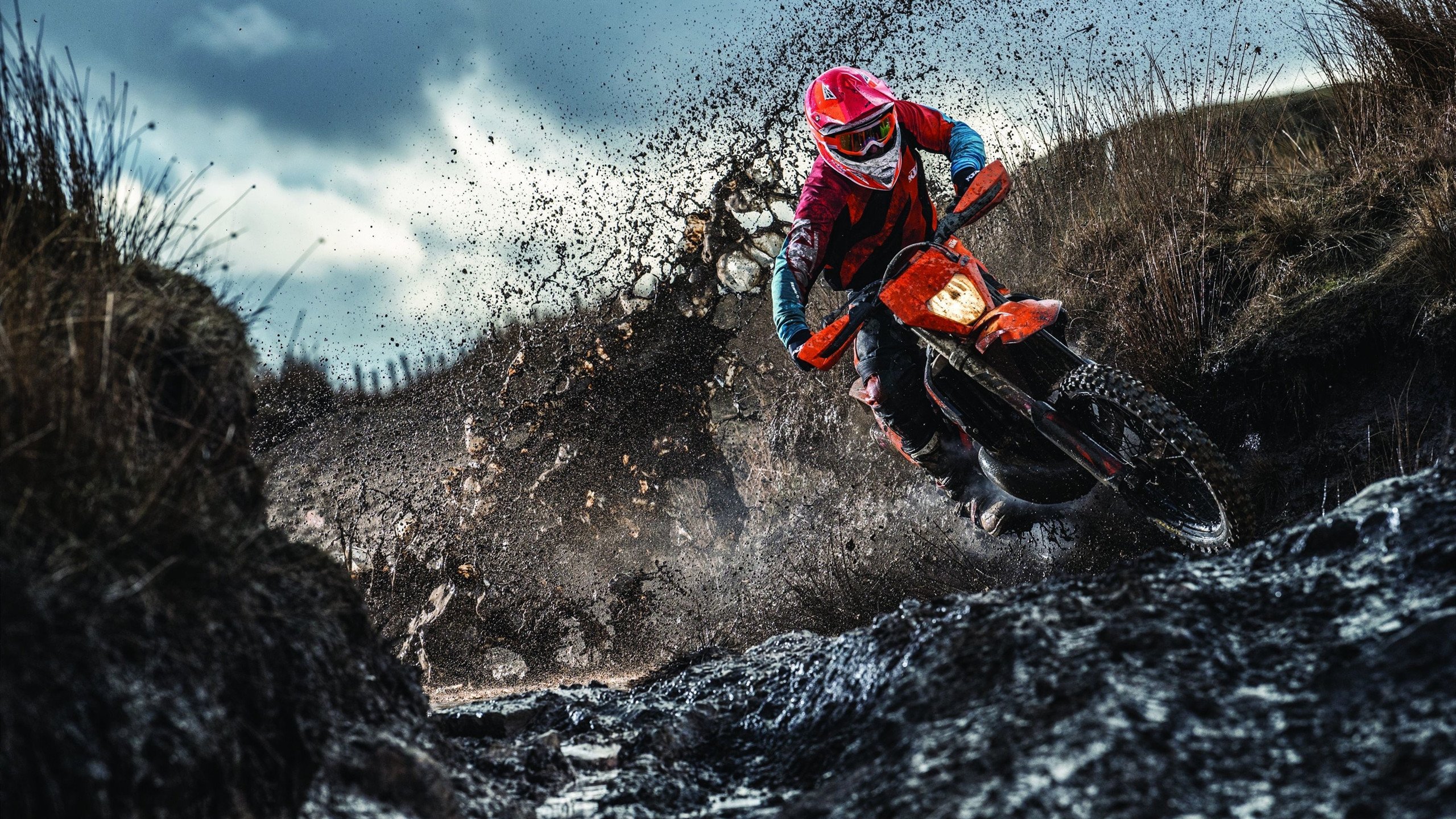 绿茵场与沙漠战场,英超争冠的战术博弈与伊朗伊拉克的生死时速