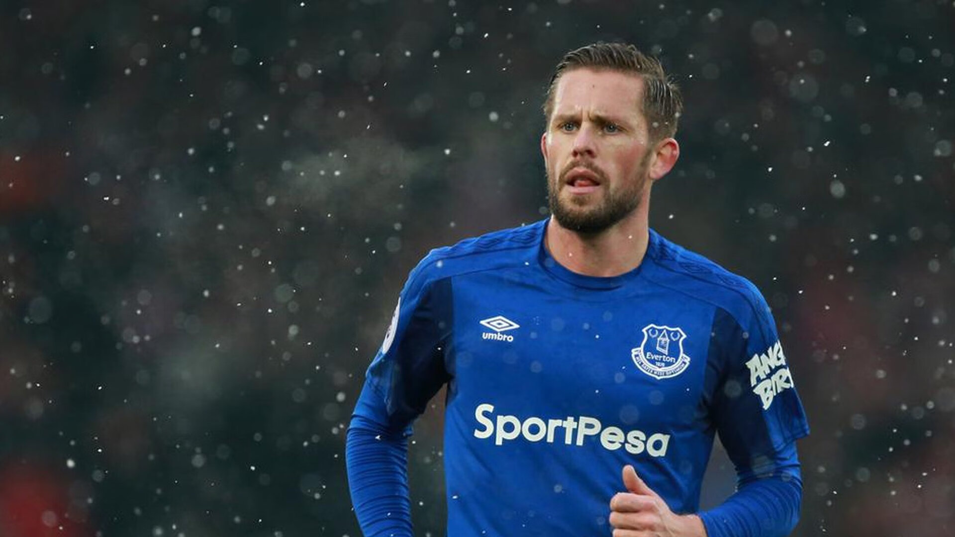 跨界争冠启示录，当掘金战胜独行侠，武切维奇在德甲接管比赛